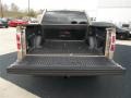 2013 Pale Adobe Metallic Ford F150 XLT SuperCrew  photo #6