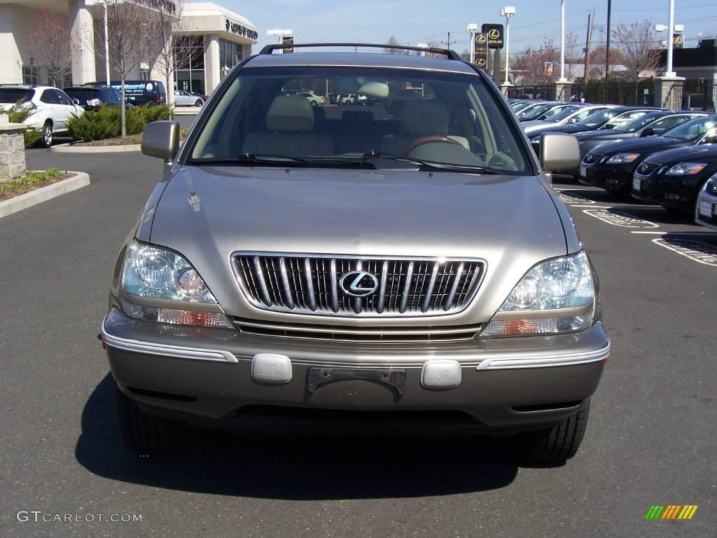 2002 RX 300 AWD - Graphite Gray Pearl / Ivory photo #2