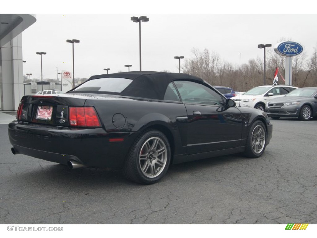 2003 Mustang Cobra Convertible - Black / Dark Charcoal photo #3