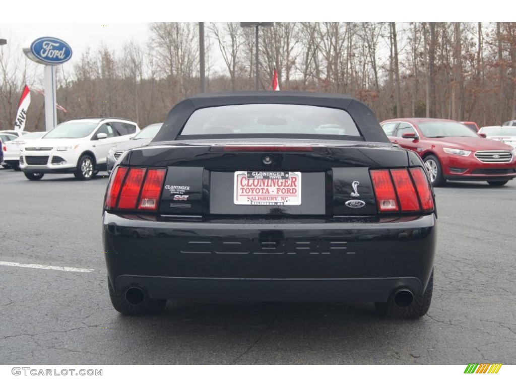 2003 Mustang Cobra Convertible - Black / Dark Charcoal photo #4