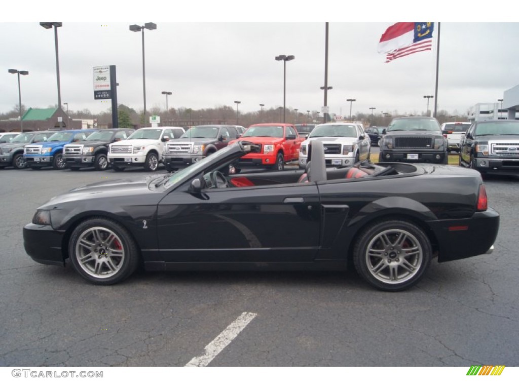 Black 2003 Ford Mustang Cobra Convertible Exterior Photo #74576138