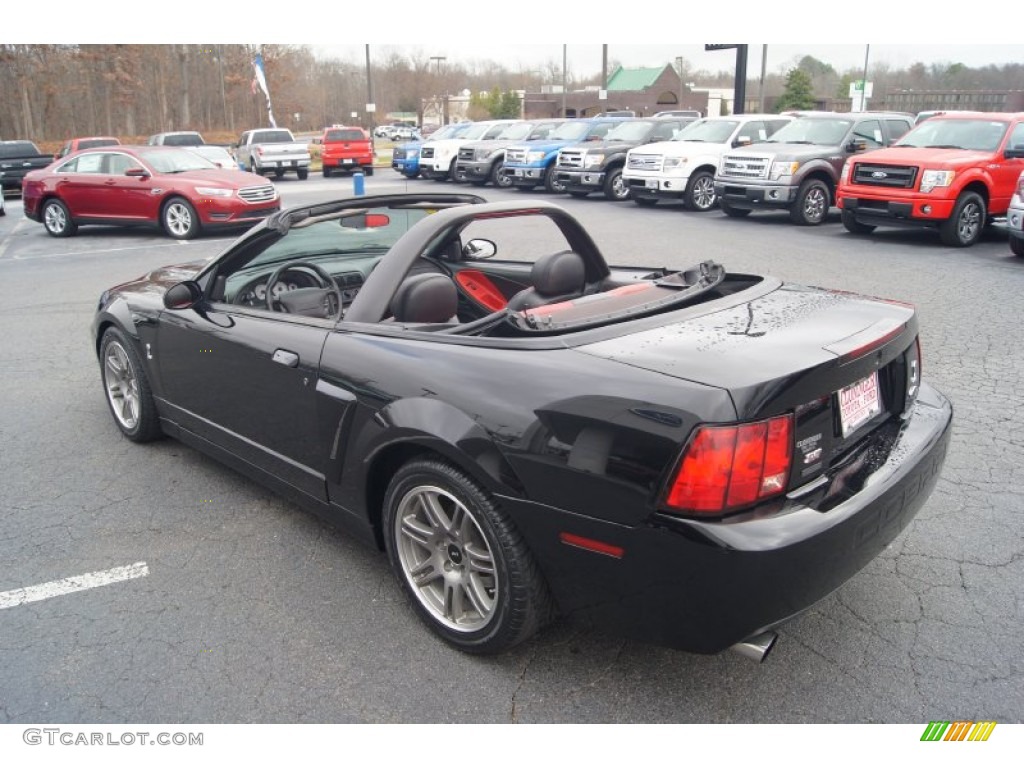2003 Mustang Cobra Convertible - Black / Dark Charcoal photo #32