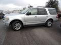 2010 Ingot Silver Metallic Ford Expedition XLT  photo #2