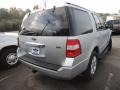 Ingot Silver Metallic - Expedition XLT Photo No. 15