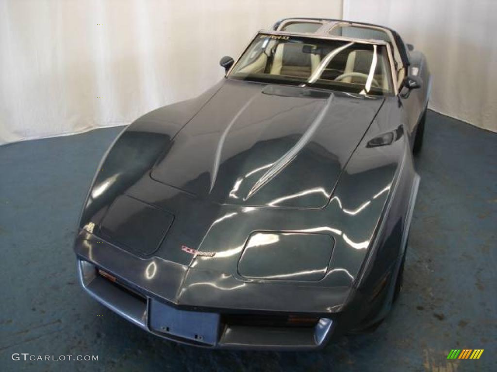 1980 Corvette Coupe - Dark Blue / Oyster photo #2