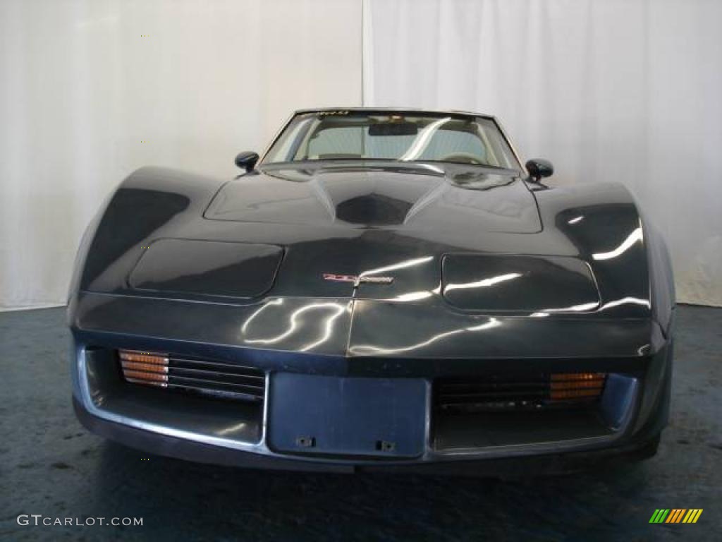 1980 Corvette Coupe - Dark Blue / Oyster photo #3