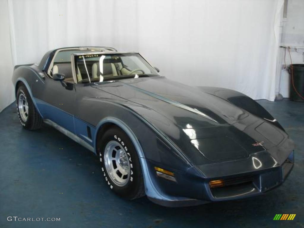 1980 Corvette Coupe - Dark Blue / Oyster photo #4