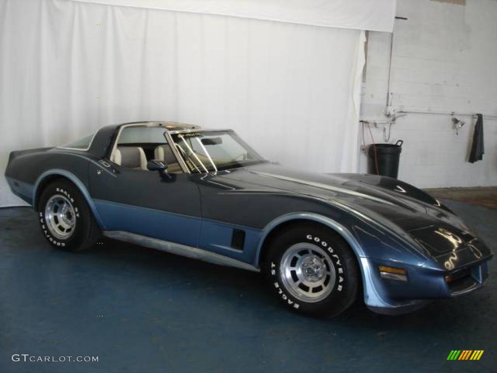 1980 Corvette Coupe - Dark Blue / Oyster photo #5