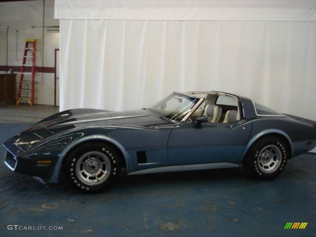1980 Corvette Coupe - Dark Blue / Oyster photo #6