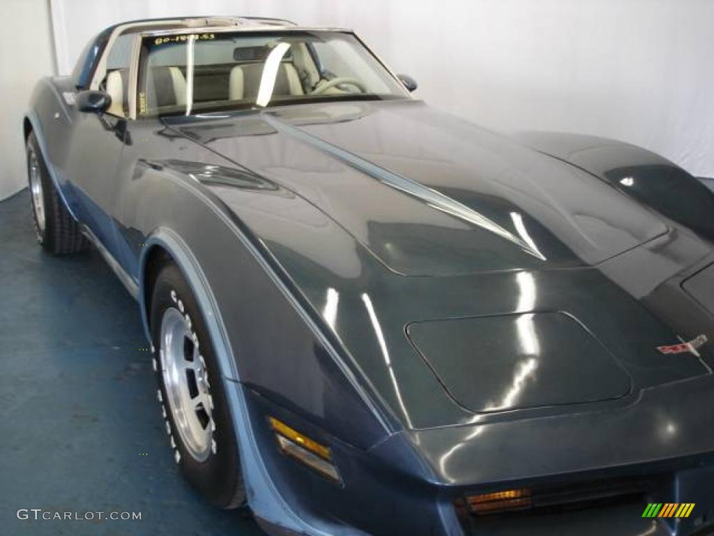1980 Corvette Coupe - Dark Blue / Oyster photo #7