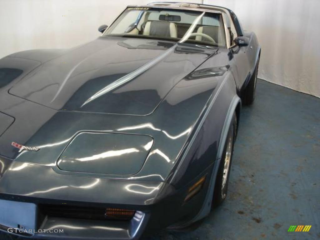1980 Corvette Coupe - Dark Blue / Oyster photo #8