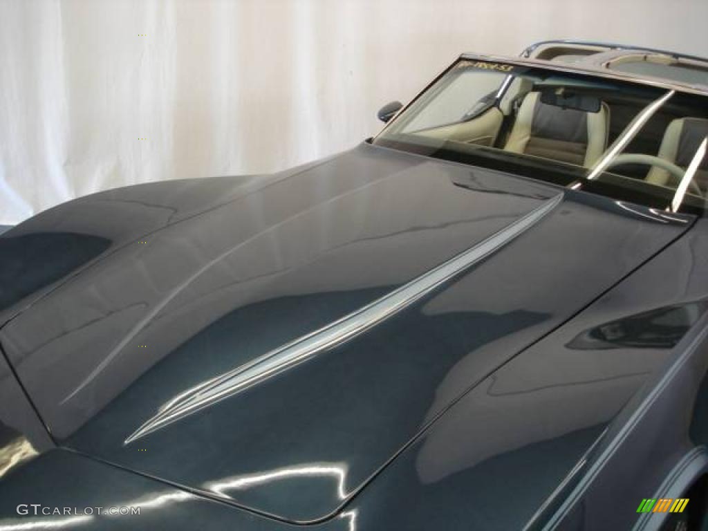1980 Corvette Coupe - Dark Blue / Oyster photo #9