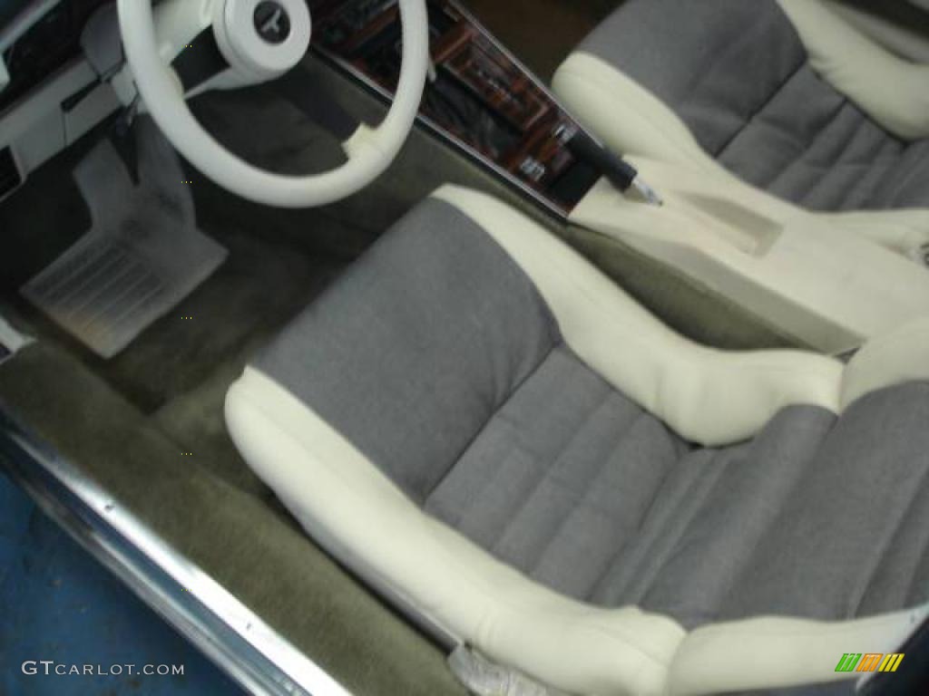 1980 Corvette Coupe - Dark Blue / Oyster photo #11