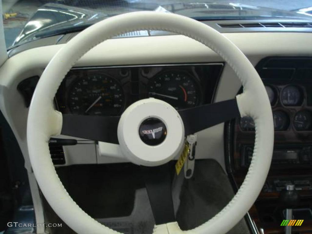 1980 Corvette Coupe - Dark Blue / Oyster photo #15