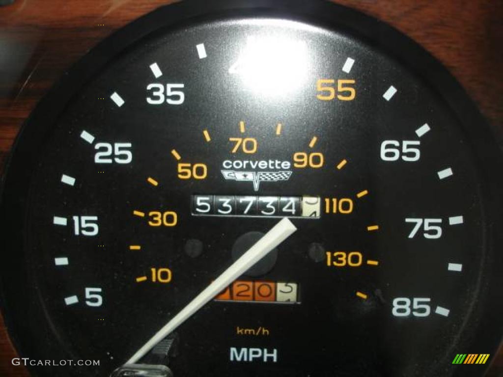 1980 Corvette Coupe - Dark Blue / Oyster photo #21