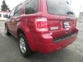 2010 Sangria Red Metallic Ford Escape XLT 4WD  photo #3