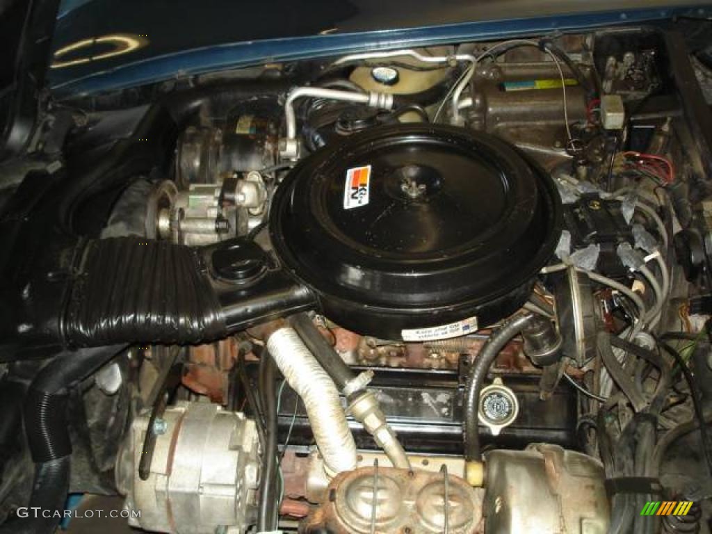 1980 Corvette Coupe - Dark Blue / Oyster photo #26