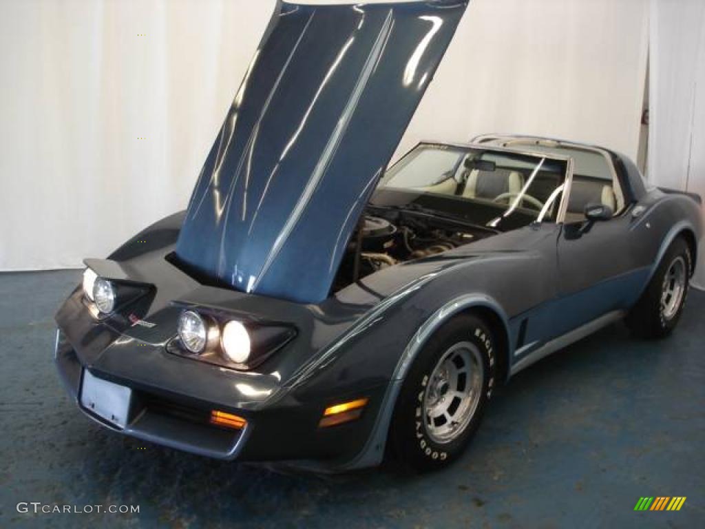 1980 Corvette Coupe - Dark Blue / Oyster photo #28