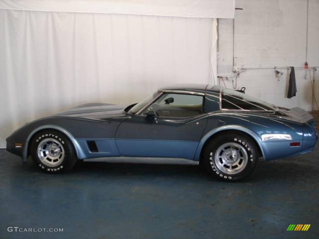 1980 Corvette Coupe - Dark Blue / Oyster photo #30