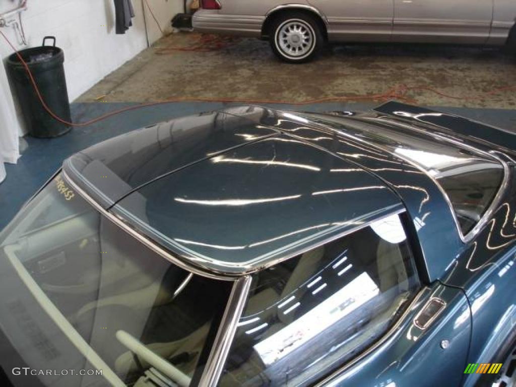 1980 Corvette Coupe - Dark Blue / Oyster photo #31