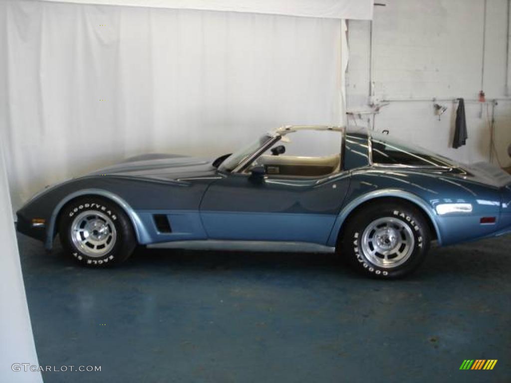 1980 Corvette Coupe - Dark Blue / Oyster photo #40