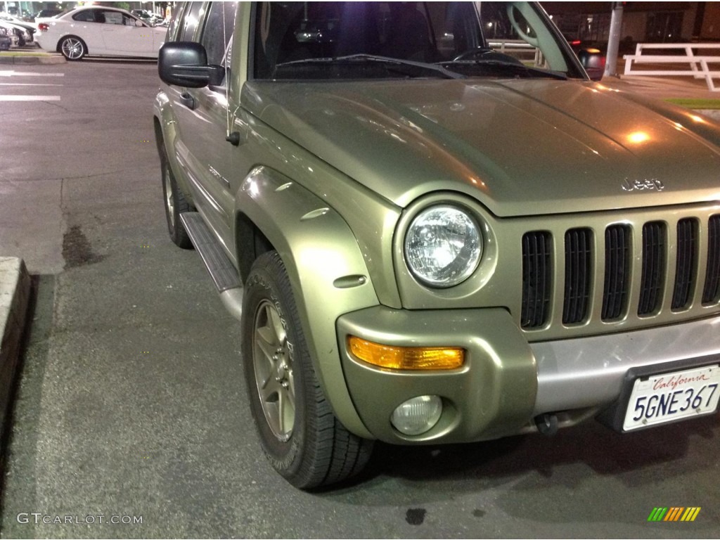 2002 Liberty Renegade 4x4 - Cactus Green Metallic / Dark Slate Gray photo #4