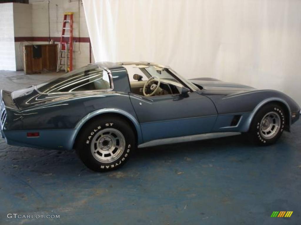 1980 Corvette Coupe - Dark Blue / Oyster photo #41