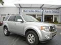 Ingot Silver Metallic 2010 Ford Escape Limited