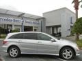 2010 Iridium Silver Metallic Mercedes-Benz R 350 4Matic  photo #8