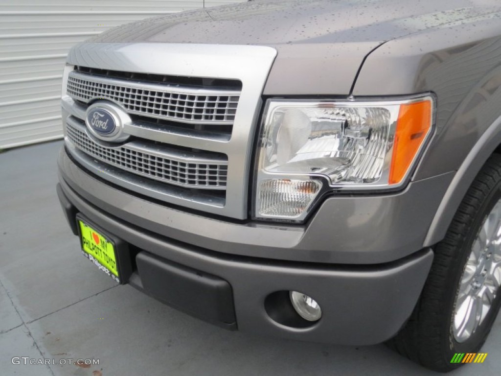 2010 F150 Platinum SuperCrew - Sterling Grey Metallic / Sienna Brown Leather/Black photo #9