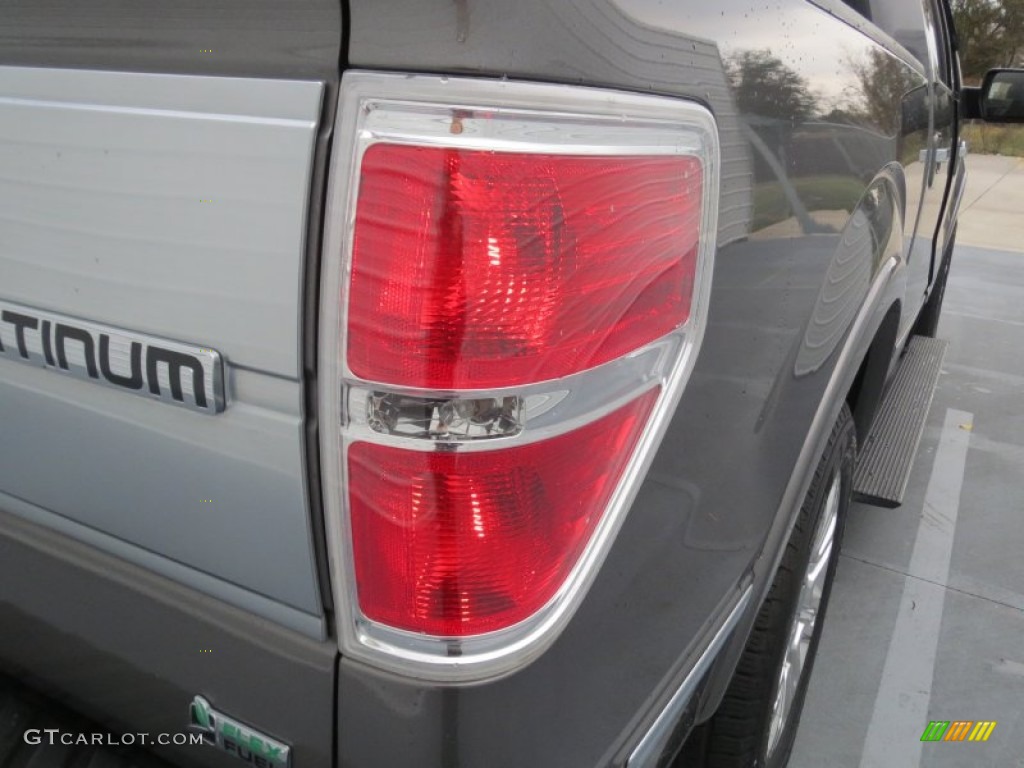 2010 F150 Platinum SuperCrew - Sterling Grey Metallic / Sienna Brown Leather/Black photo #19