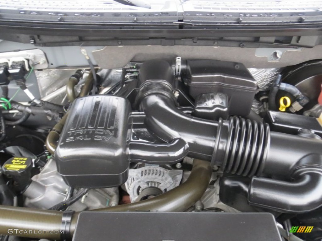 2010 Ford F150 Platinum SuperCrew 5.4 Liter Flex-Fuel SOHC 24-Valve VVT Triton V8 Engine Photo #74592046