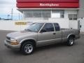 1999 Light Pewter Metallic Chevrolet S10 LS Extended Cab  photo #1