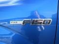 2013 Blue Flame Metallic Ford F150 FX2 SuperCrew  photo #11