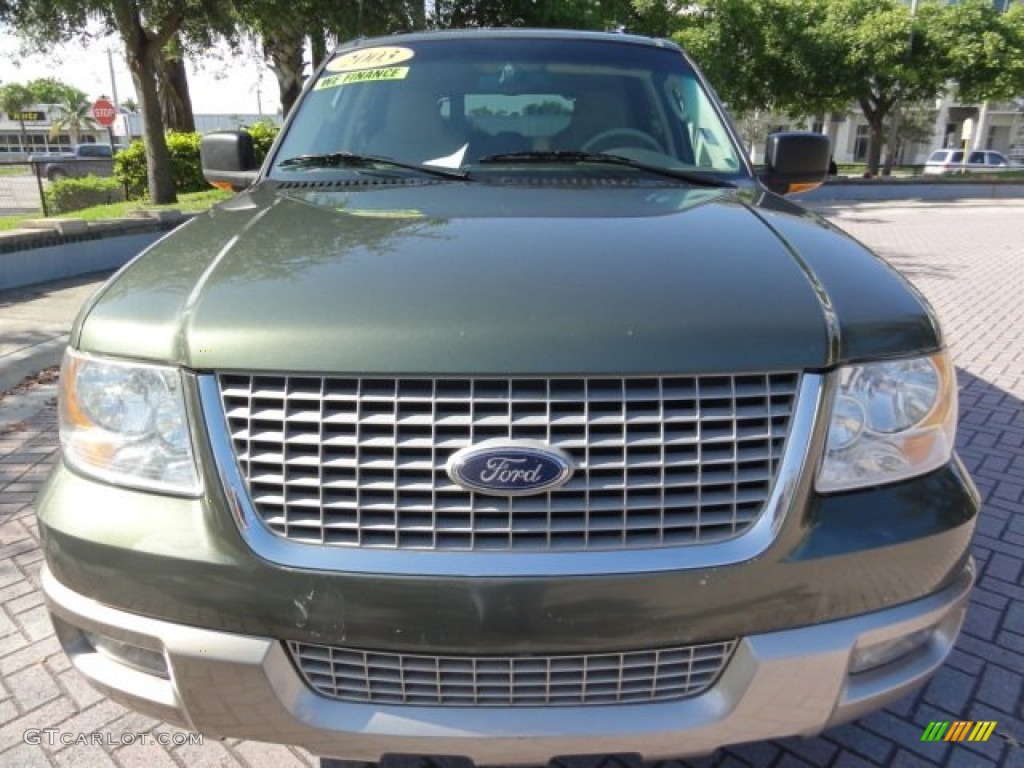 2003 Expedition Eddie Bauer - Estate Green Metallic / Medium Parchment photo #2