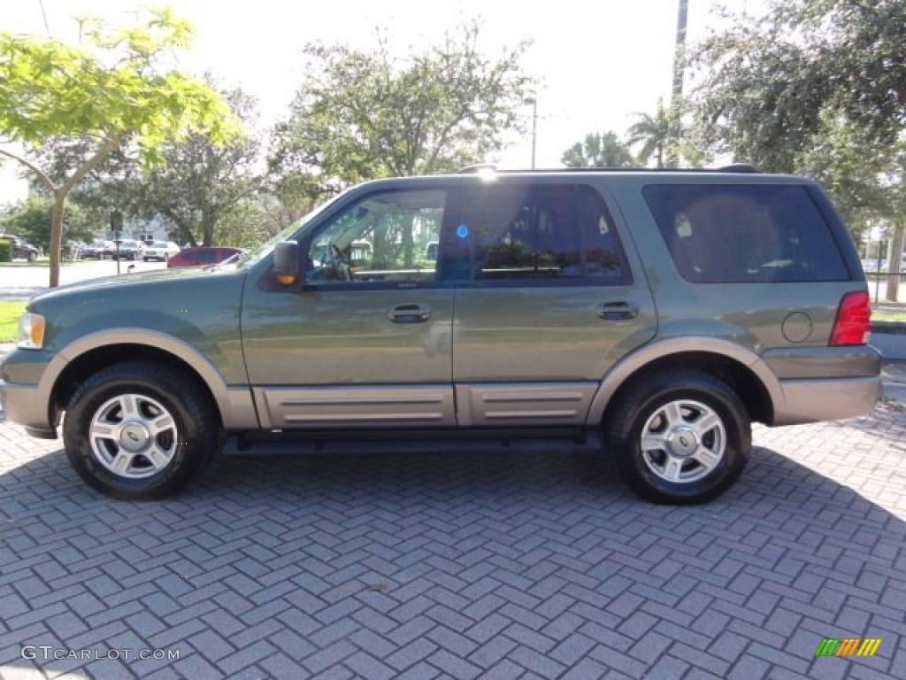 2003 Expedition Eddie Bauer - Estate Green Metallic / Medium Parchment photo #4