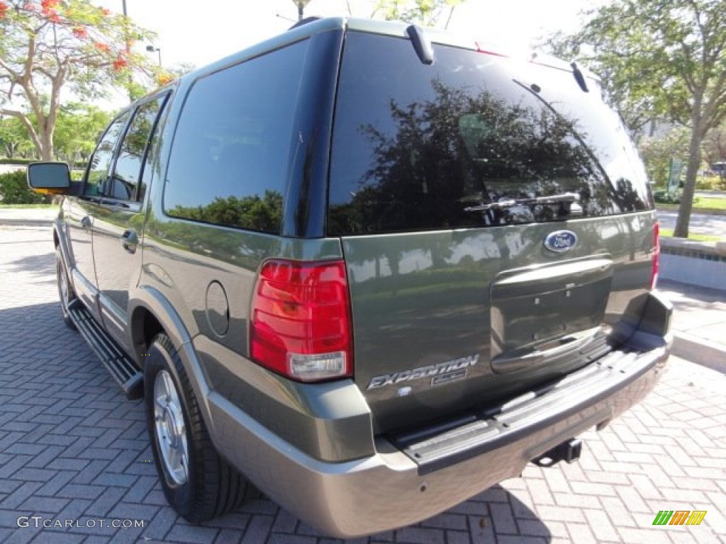 2003 Expedition Eddie Bauer - Estate Green Metallic / Medium Parchment photo #5