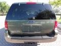2003 Estate Green Metallic Ford Expedition Eddie Bauer  photo #6