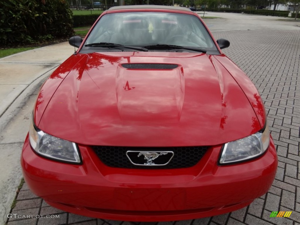 1999 Mustang GT Convertible - Rio Red / Medium Parchment photo #5