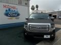 2013 Tuxedo Black Metallic Ford F150 Platinum SuperCrew  photo #1