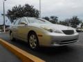 Classic Silver Metallic - ES 330 Photo No. 3
