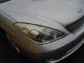 Classic Silver Metallic - ES 330 Photo No. 9