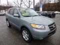 2007 Platinum Sage Hyundai Santa Fe SE 4WD  photo #7