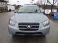 2007 Platinum Sage Hyundai Santa Fe SE 4WD  photo #8