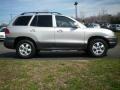 Smart Silver - Santa Fe GLS 4WD Photo No. 13