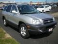 Smart Silver - Santa Fe GLS 4WD Photo No. 14