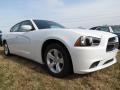 Ivory Pearl - Charger SE Photo No. 4
