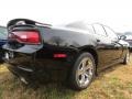 Pitch Black - Charger SE Photo No. 3