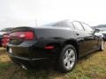 Pitch Black - Charger SE Photo No. 3