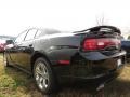 Pitch Black - Charger SE Photo No. 2